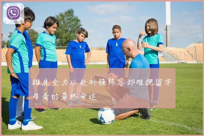 雄鹿全力以赴补强阵容却难挽留字母哥的最终命运