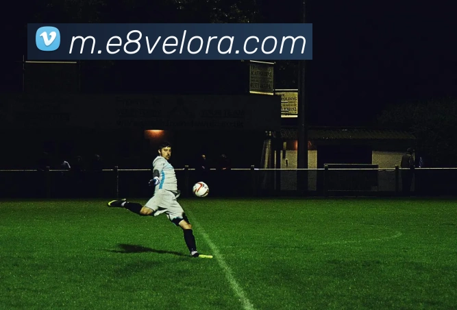 e8娱乐官网平台生态图