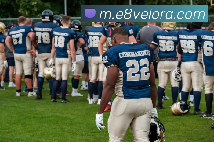 e8娱乐官网APP 封面图