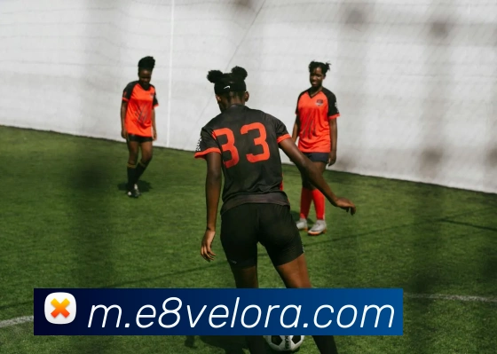 数据防护可视化